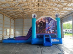 Frozen (Wet or Dry) Bounce House W/Slide